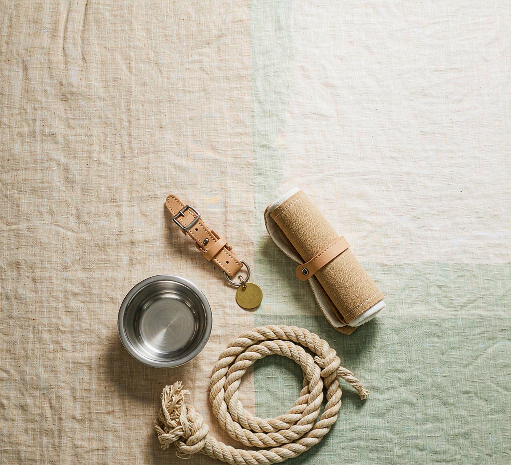 Everyday pet essentials — collar, leash and bowl